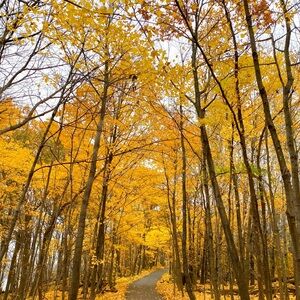 Meet your Posher, Sonya